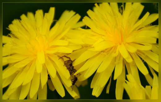 940157 (a): :2048x1298